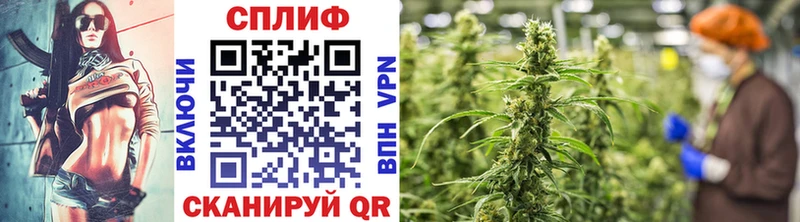 Что такое Ростов Кокаин  Амфетамин  Меф  Гашиш  blacksprut   Канабис 
