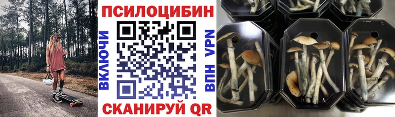 сколько стоит  кракен ССЫЛКА  Галлюциногенные грибы Cubensis  Ростов 