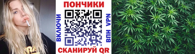 Бошки Шишки семена  Ростов 